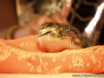 Exotic oriental teenager gets her nips swell from frolicking with her big pet snake on the couch