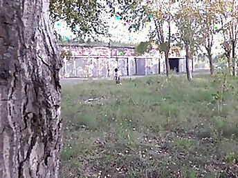 Insatiable damsel wearing a microskirt flashing her cunt in public