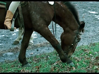 Justine A Issue be incumbent on Chastity