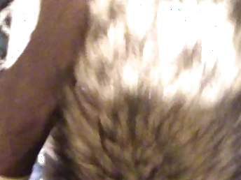 Fox Tail Hinie Plumbing Perforator Teen Point Be fitting of Sight (SHE LUVS IT) ;)